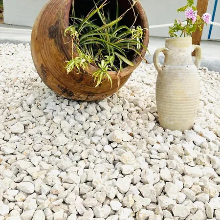 Terrazza Vitaloca *